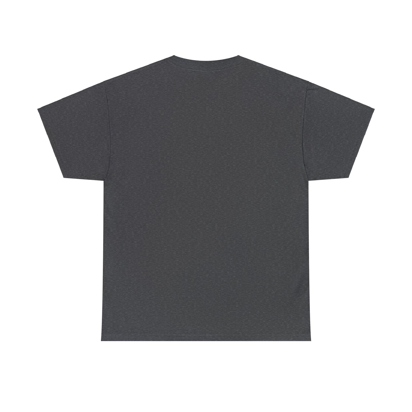 BE A NICE HUMAN | REVERSE MIRROR | Unisex T-Shirt | Dark Heather