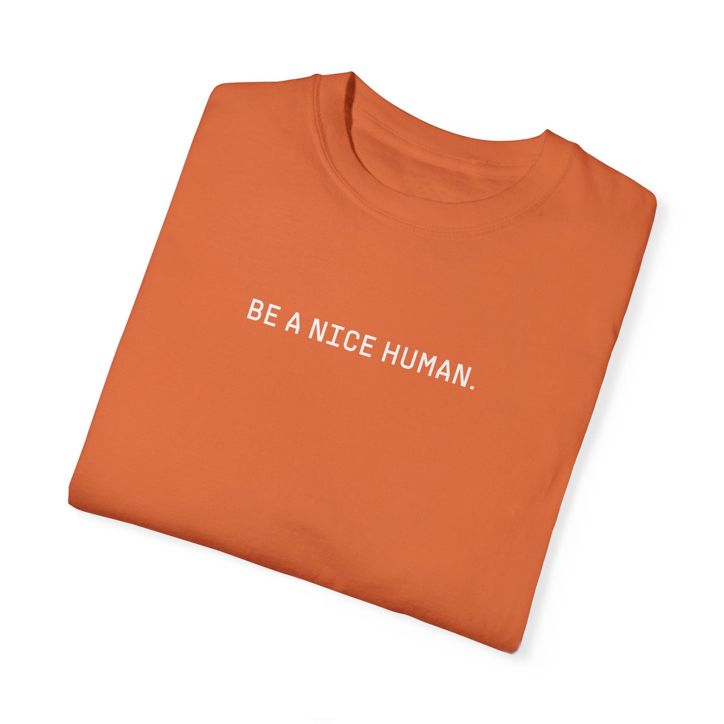 BE A NICE HUMAN | Original | Unisex T-shirt | Orange or Black