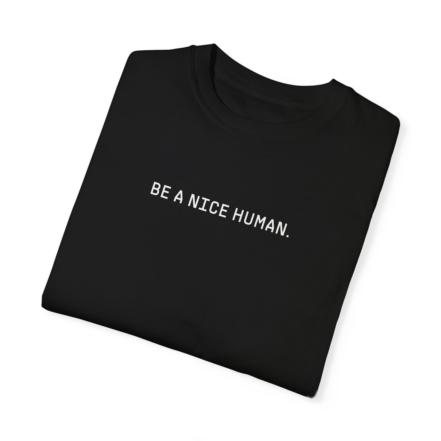 BE A NICE HUMAN | Original | Unisex T-shirt | Orange or Black